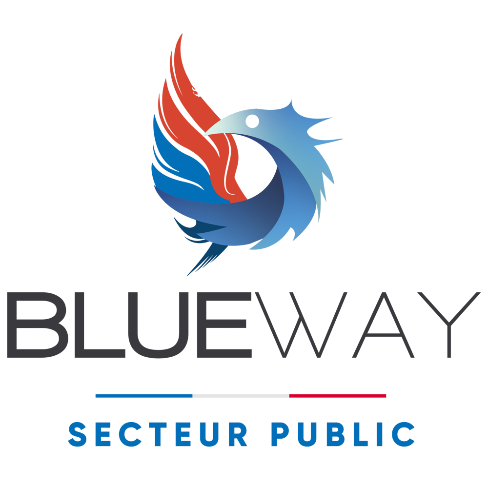 Logo Blueway